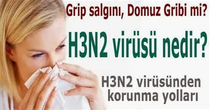 H3N2 Virüsü Alarmı: Türkiye’ye Geliyor mu? Uzmanlar Uyarıyor!