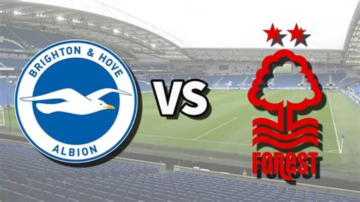Nottingham Forest – Brighton: İntikam ve Yükseliş Maçı