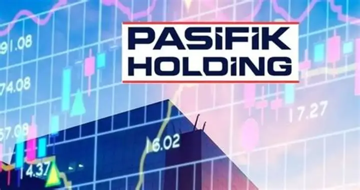 PAHOL Hisseleri Borsada Yükselişte: Pasifik Holding’in Parlayan Geleceği
