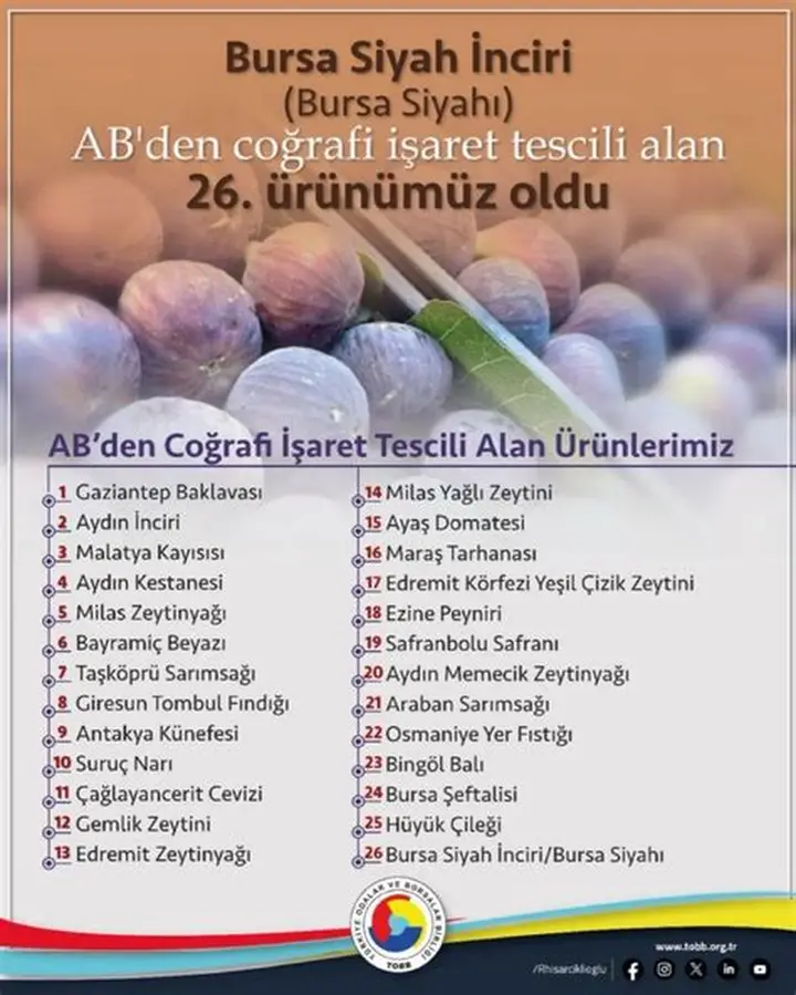 Gaziantep Lahmacunu, Ekim 2025’te AB Tescili Aldı!