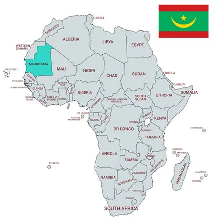 Moritanya’da Enerji Güvenliği: Wärtsilä-SOMELEC Anlaşması