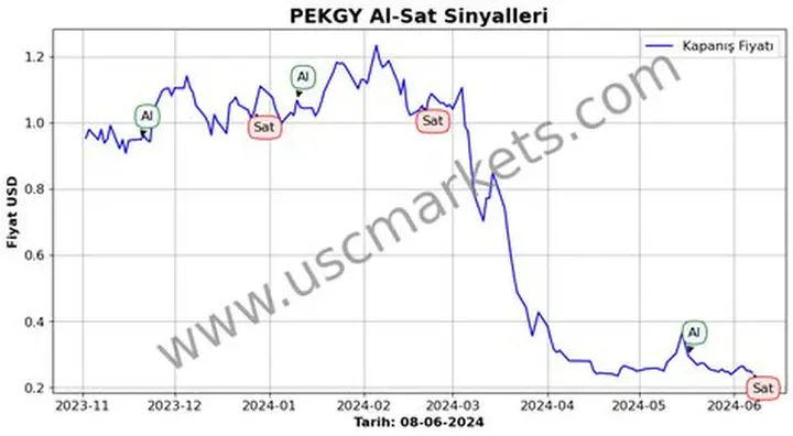 PEKGY’ye Tarihi SPK Cezası ve Pardus’tan Kritik Hisse Hamlesi